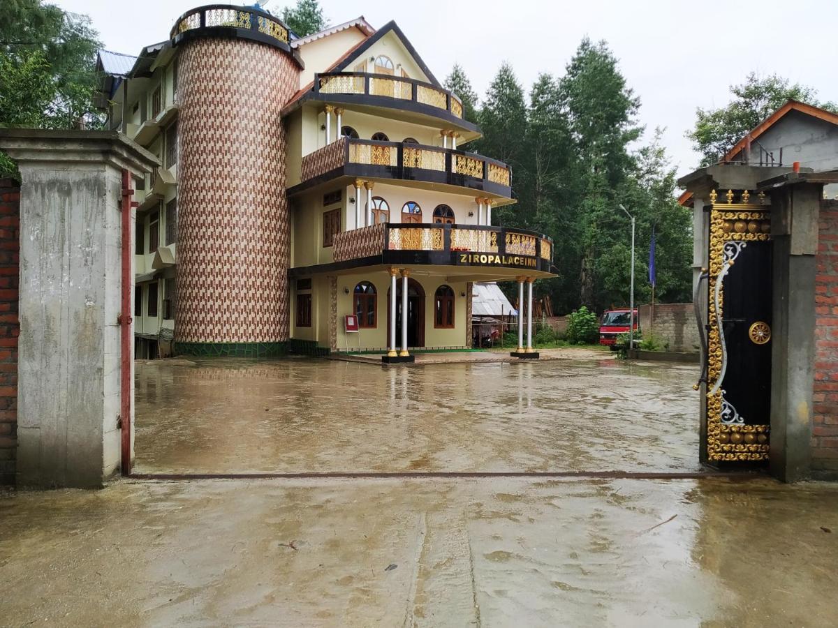 Ziro Palace Inn - A Boutique Hotel Hapoli Luaran gambar